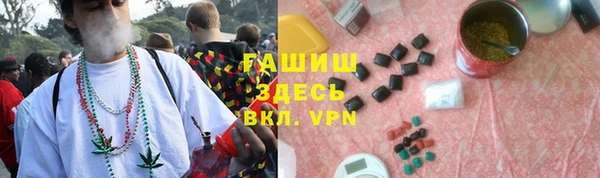 крисы Каменногорск