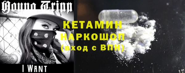 крисы Каменногорск