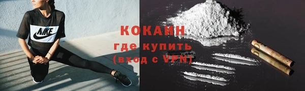 крисы Каменногорск