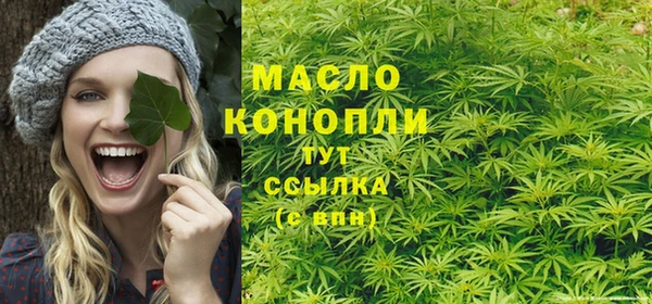 крисы Каменногорск