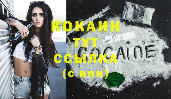 крисы Каменногорск