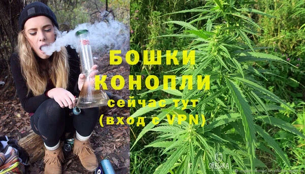 крисы Каменногорск